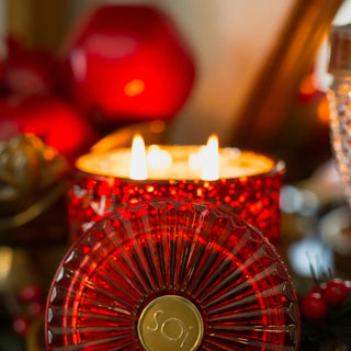 Holiday Spice 15oz Shimmer Candle 2 Wick
