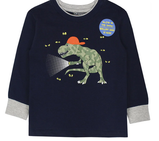 Boys L/S Camo Dino Shirt