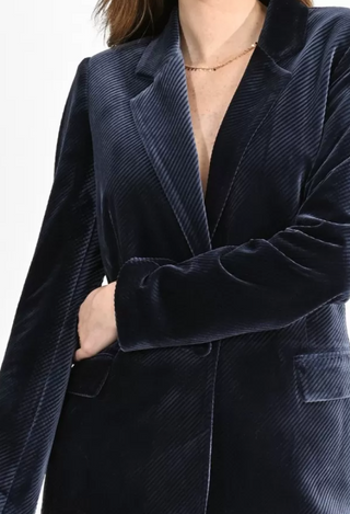 Velvet Blazer