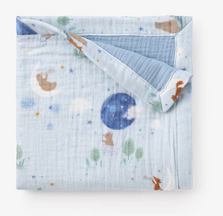 Magical Adventure Muslin Blankie