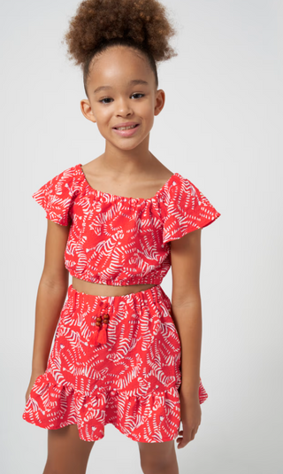 Girls Zebra Skirt Set