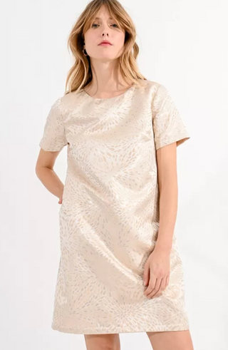 Le Soir Champagne Dress