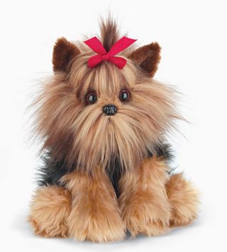 Chewie The Yorkie