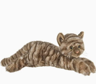 Louie the Brown Tabby Cat