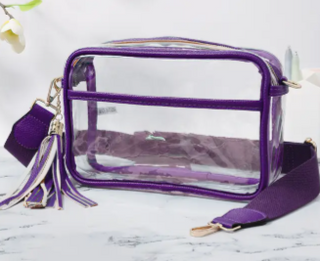 Clear Cross Body Camera Bag