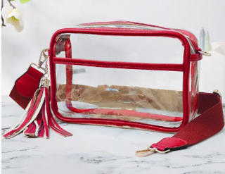 Clear Cross Body Camera Bag