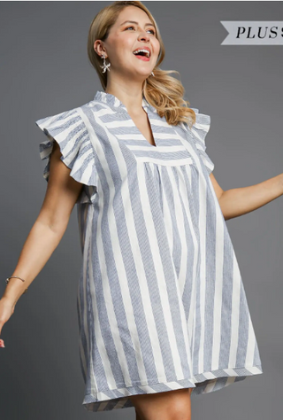 Ruffle Sleeve Blue Stripe Dress