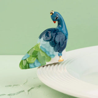 fancy feathers