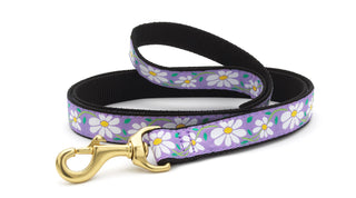 6" Narrow Daisy Lead