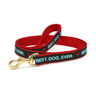 Best Dog Ever 6" Lead- Medium
