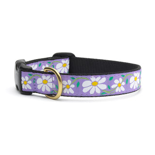 Daisy Collar