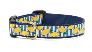Make Lemonaid Dog Harness